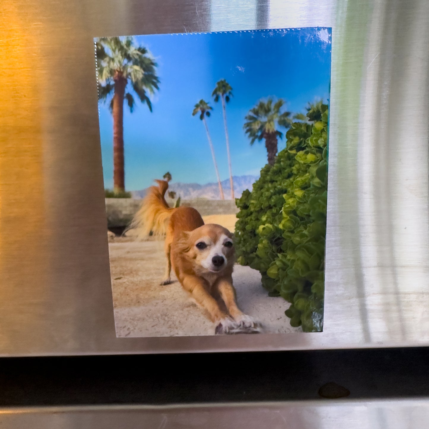 Custom Photo Magnet