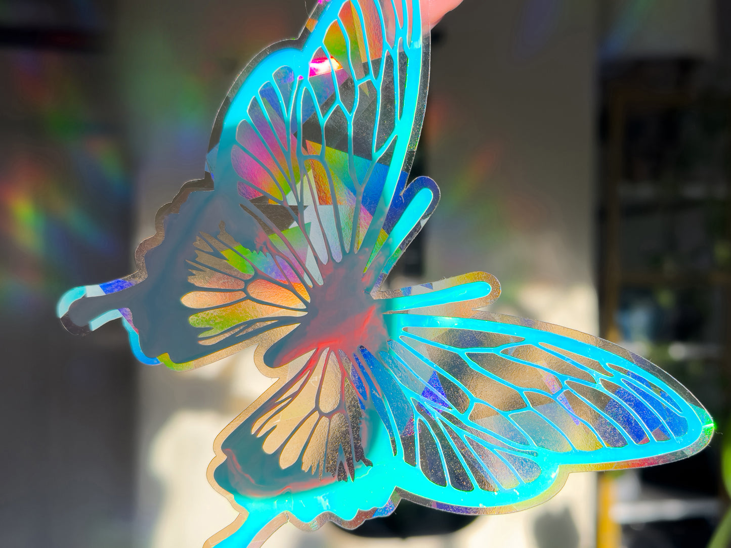 Beautiful Butterfly Suncatcher Rainbows