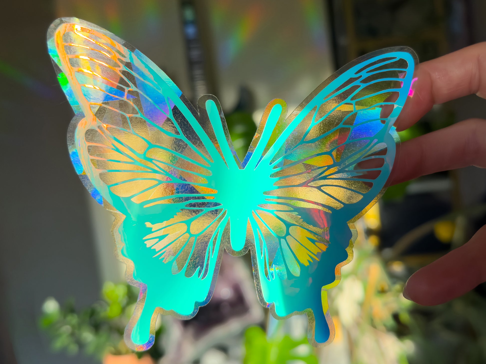 Beautiful Butterfly Suncatcher Rainbows Cling