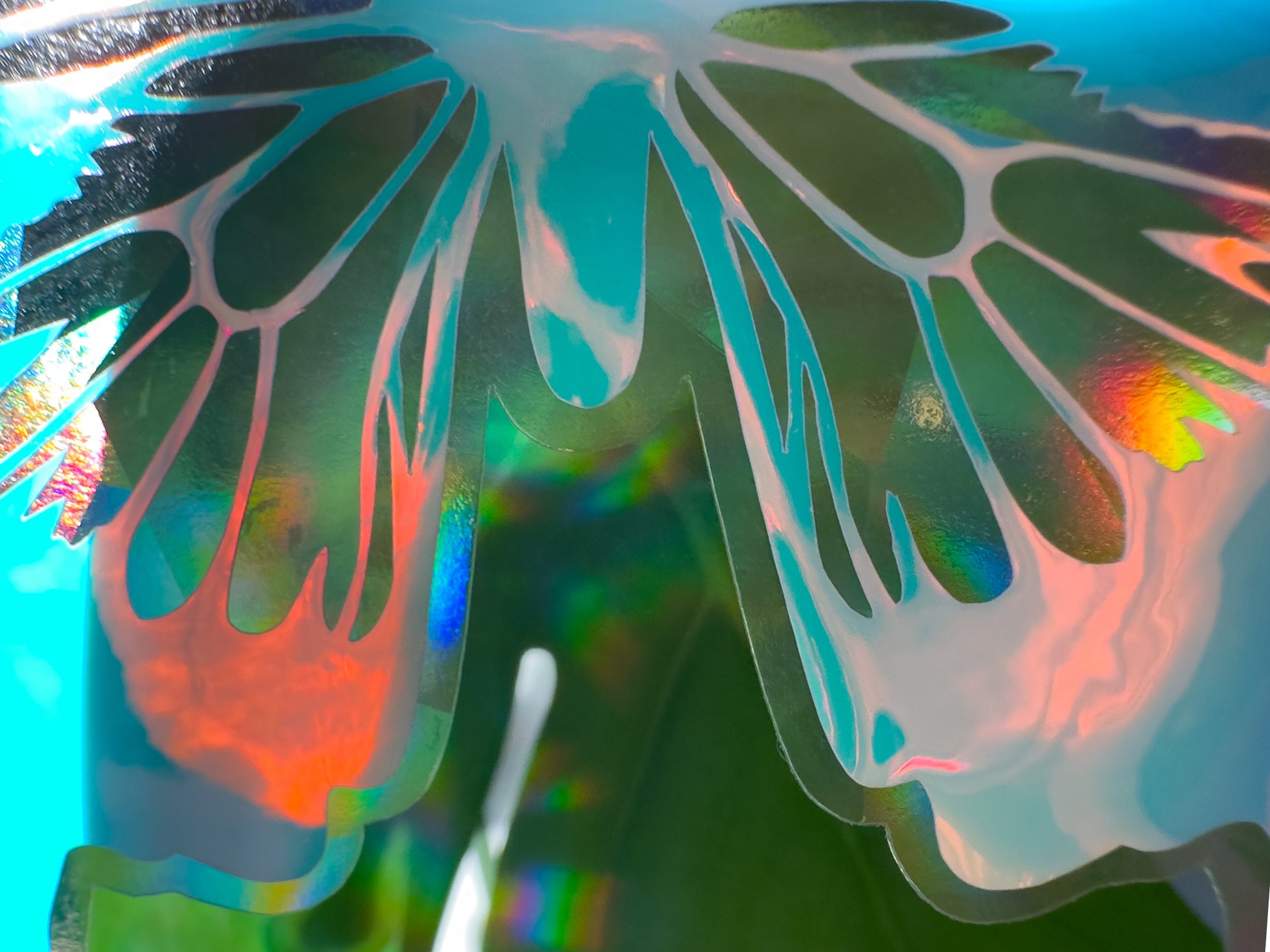 Butterfly Rainbow Casting Suncatcher Closeup