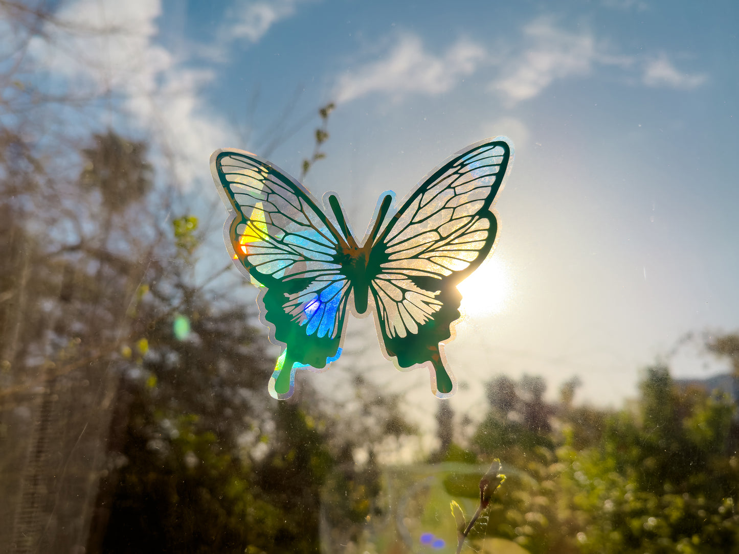 Butterfly Rainbow Casting Suncatcher On Window