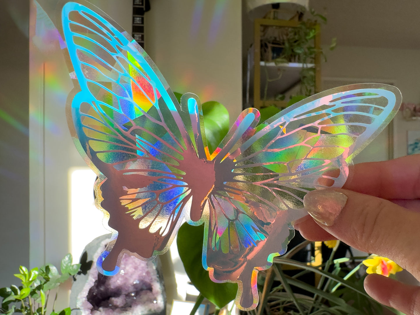 Butterfly Rainbow Casting Suncatcher Rainbows