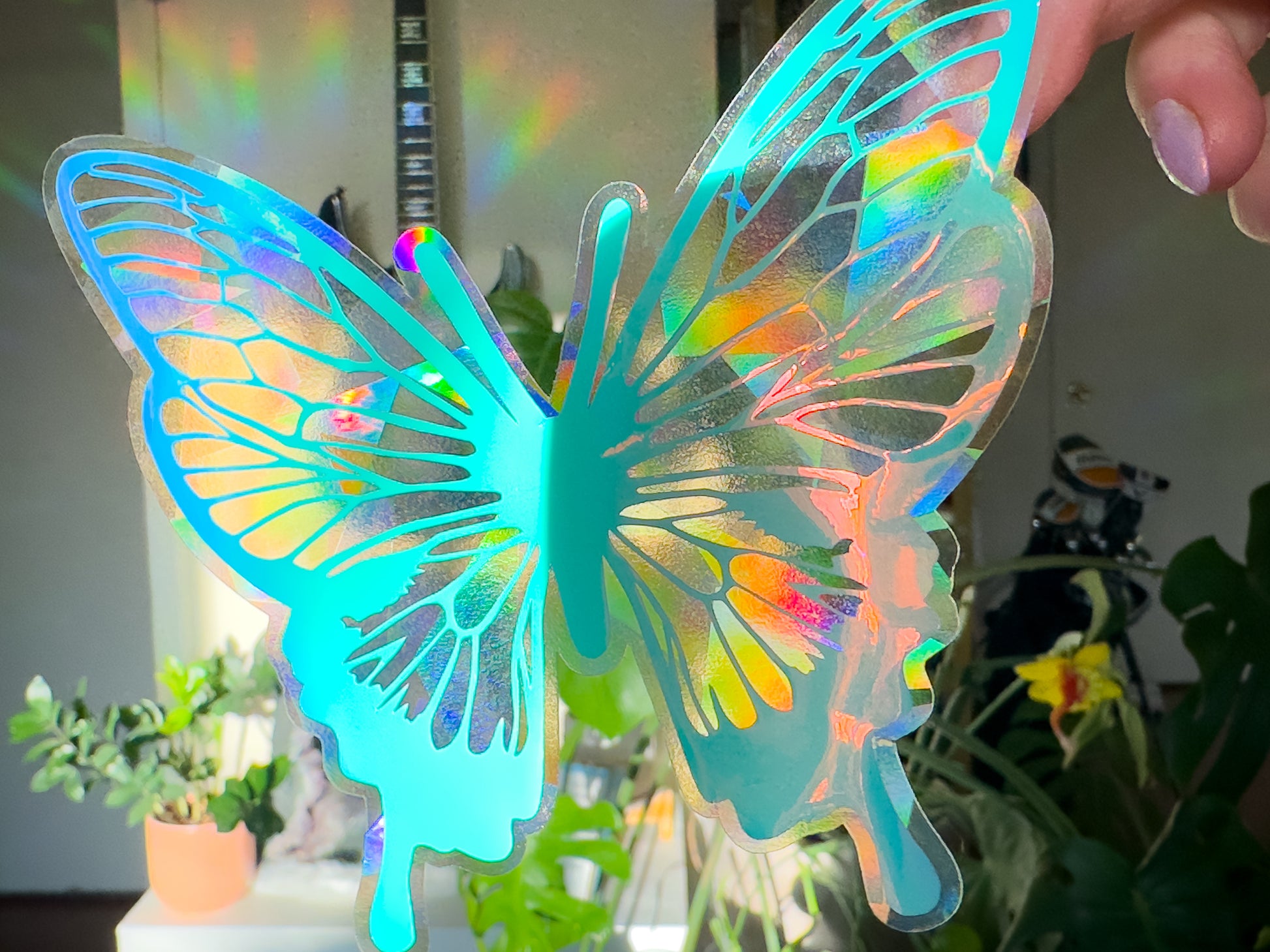 Butterfly Suncatcher Rainbows