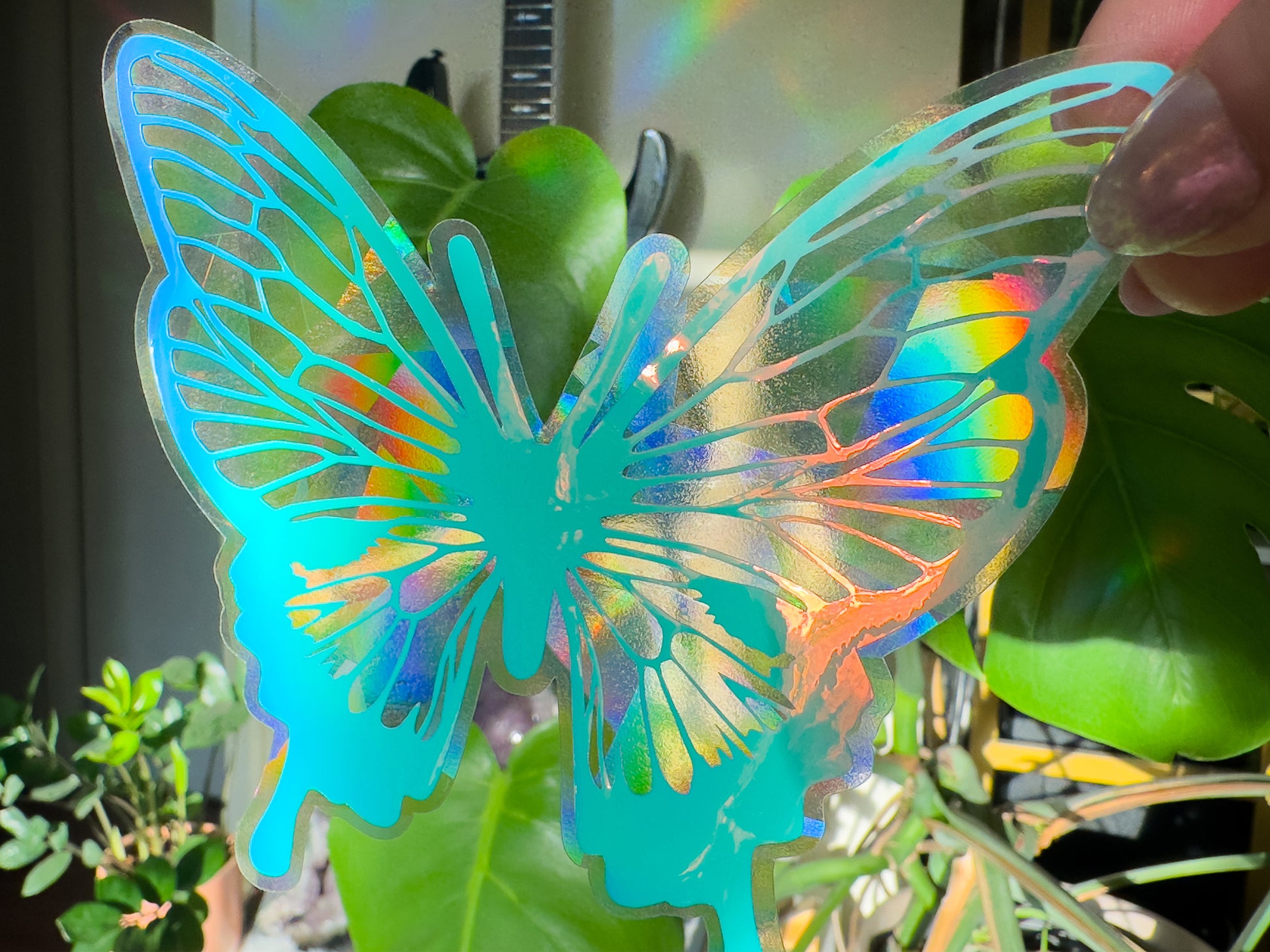 Butterfly Suncatcher Rainbows Close Up