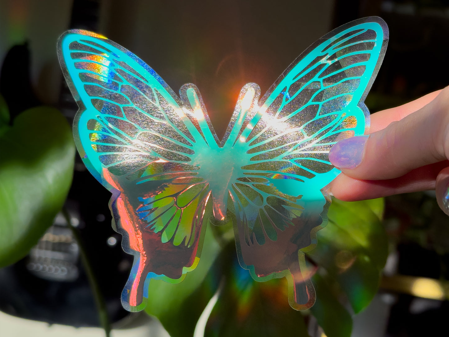 Butterfly Suncatcher Rainbows & Sun Flares