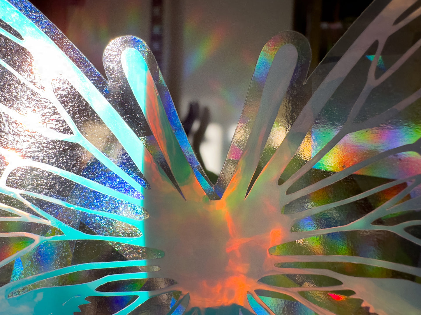 Close Up Beautiful Butterfly Suncatcher Rainbows Cling