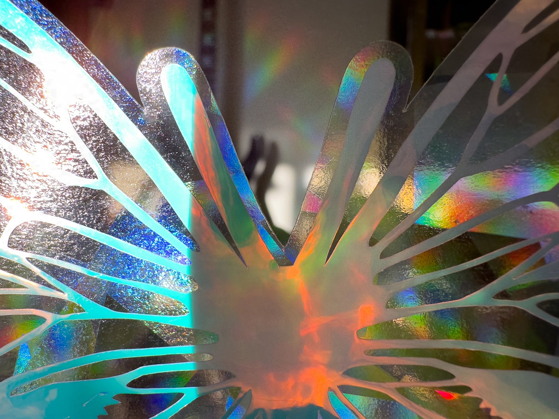Close Up Beautiful Butterfly Suncatcher Rainbows Cling