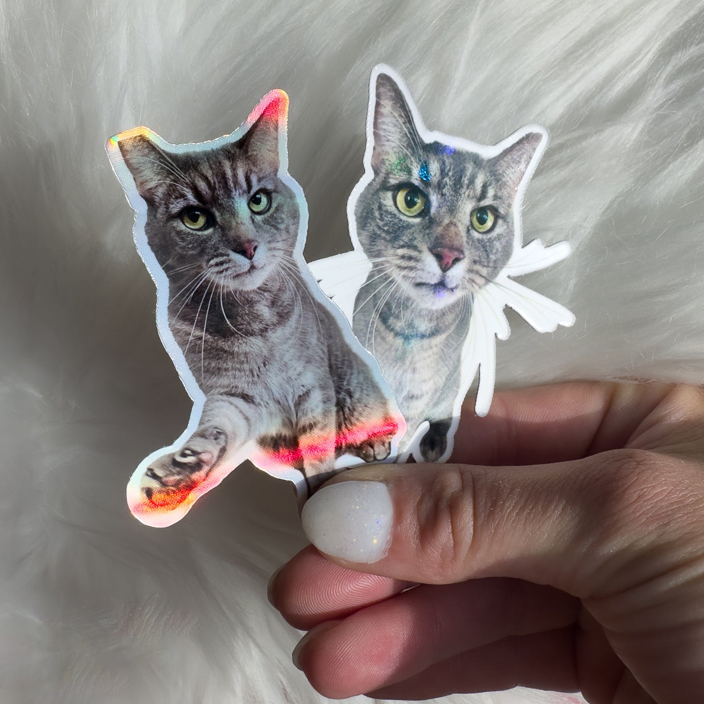 Custom PET Stickers: Transform Your Pet into a Sticker!