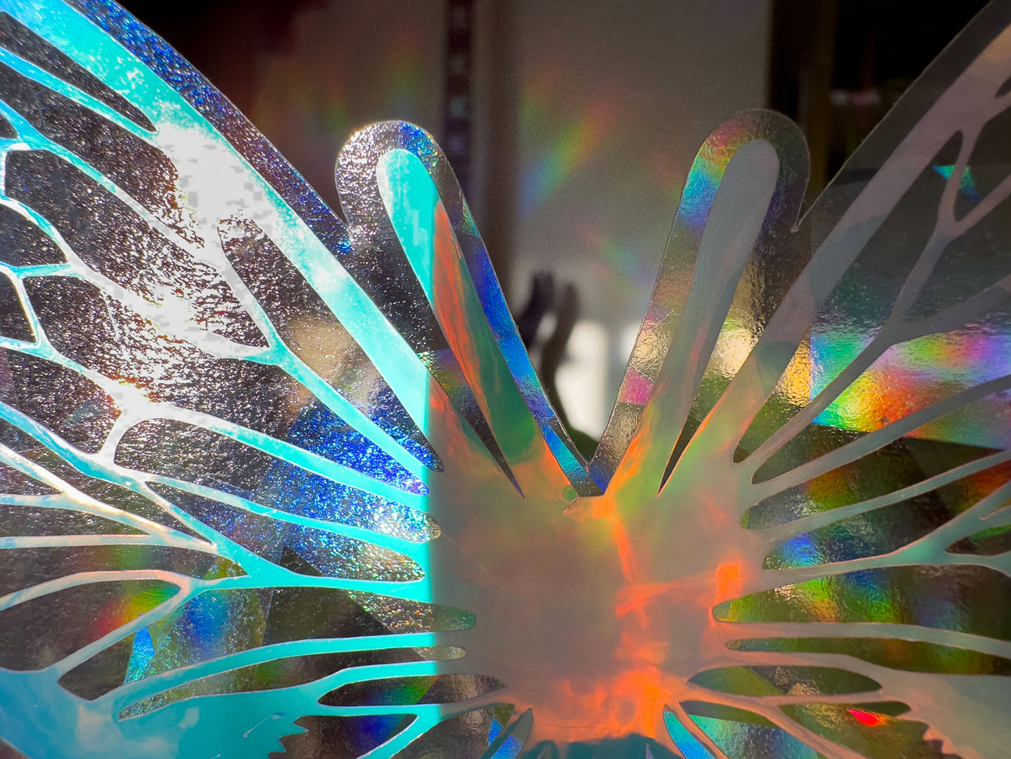 Iridescent Rainbow Sunbeam