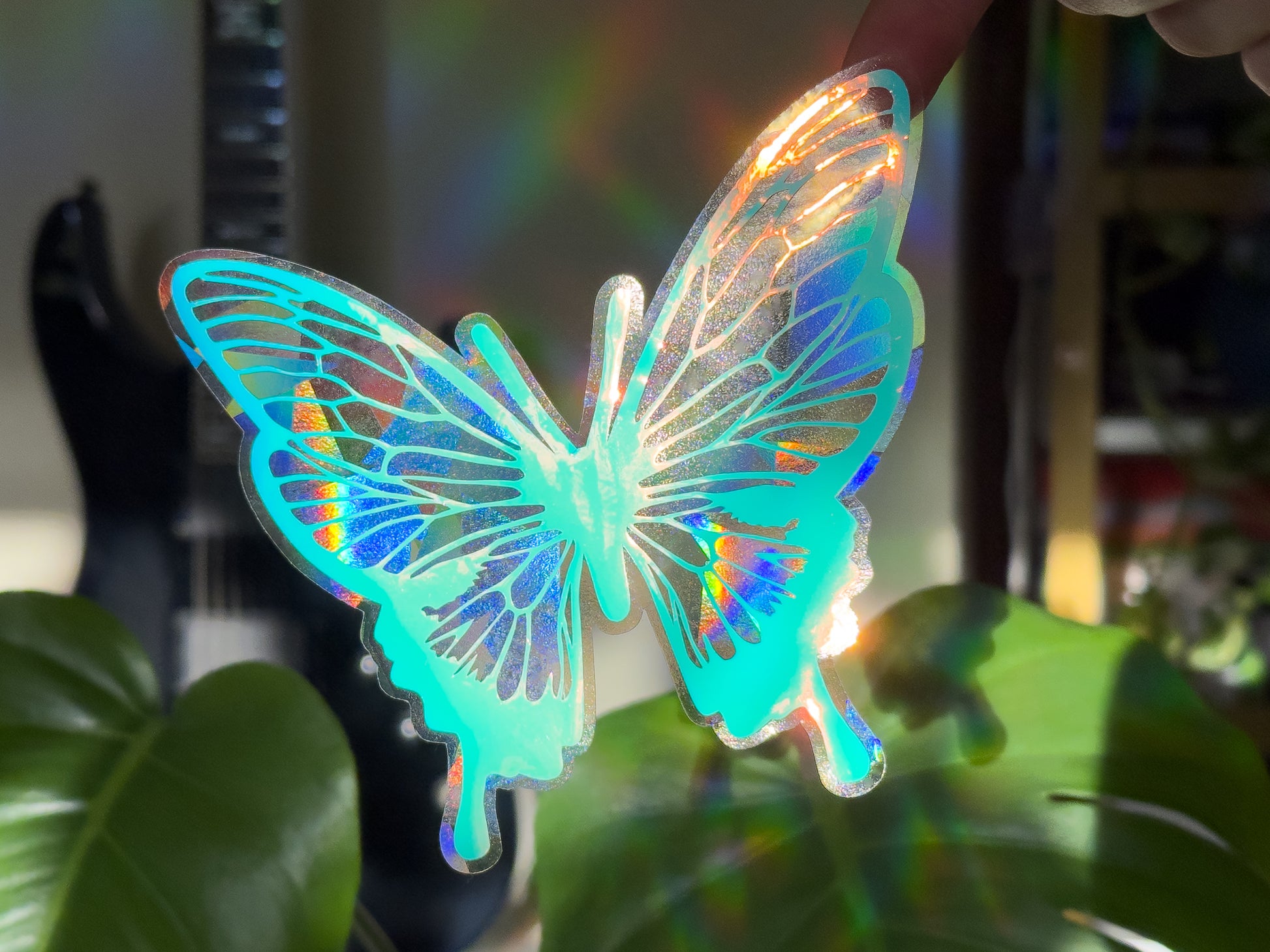 Iridescent Suncatcher Rainbows Sun Cast