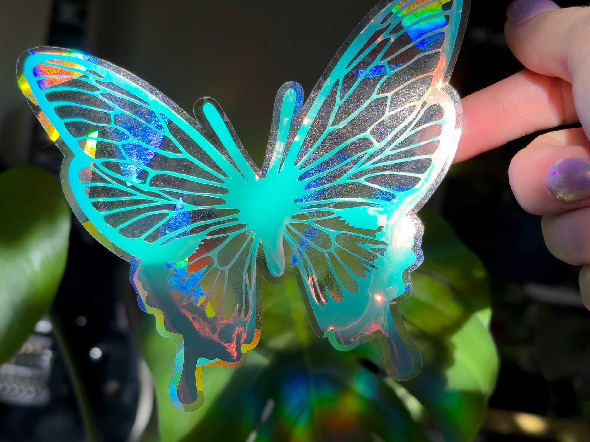 Iridescent Suncatcher Rainbows & Sun Flares