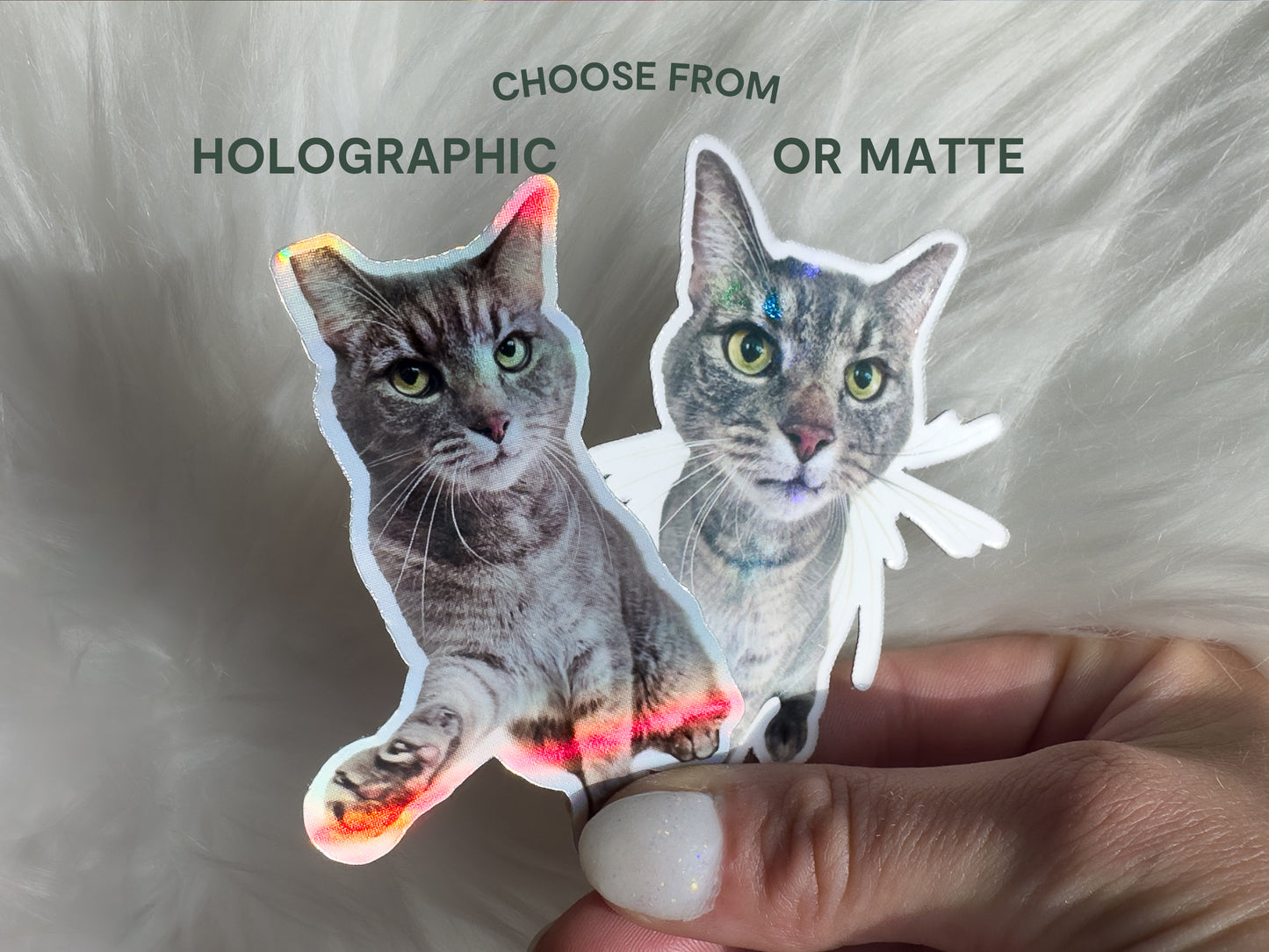 Custom PET Stickers: Transform Your Pet into a Sticker!