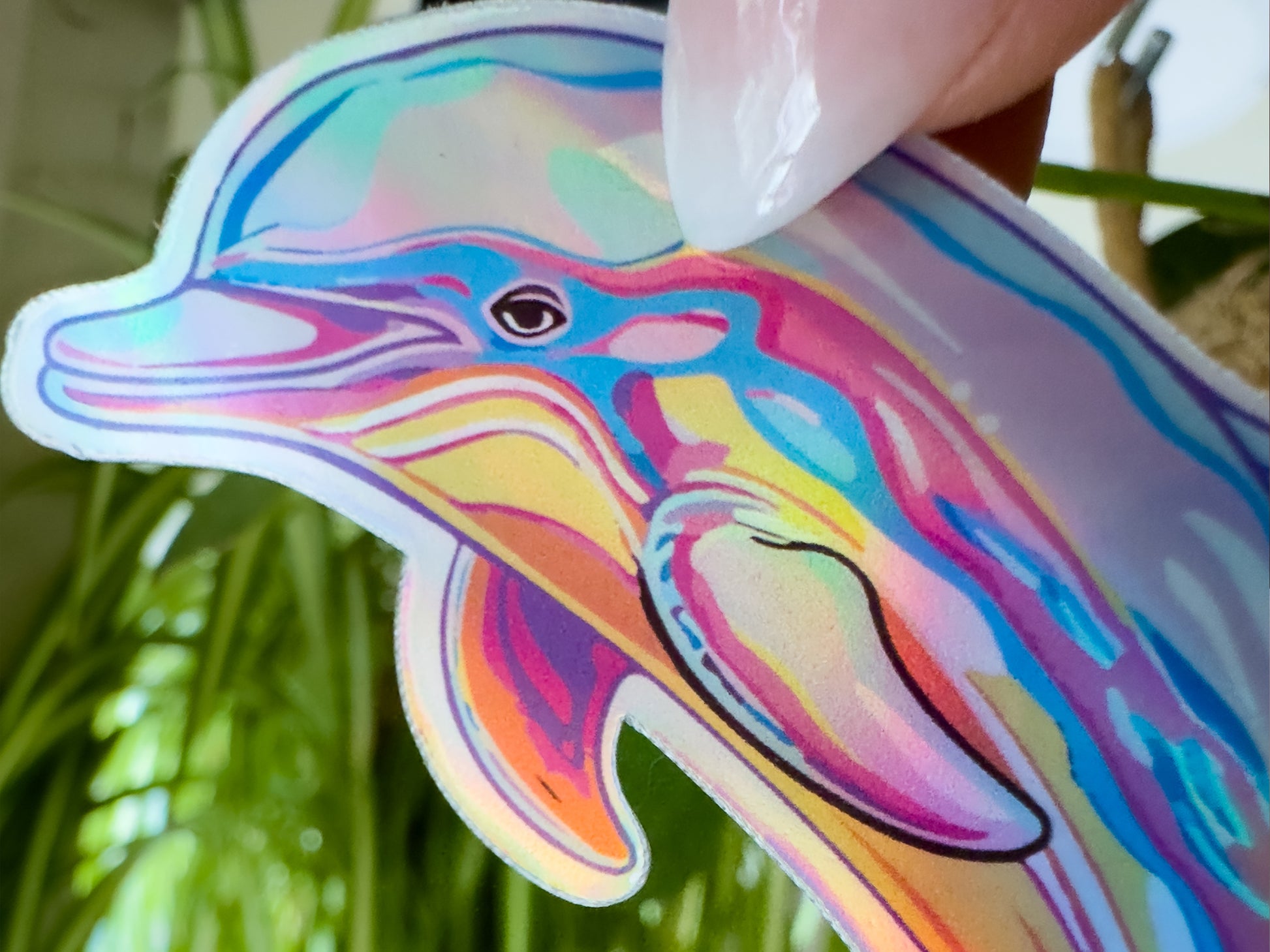 close up dolphin sticker face