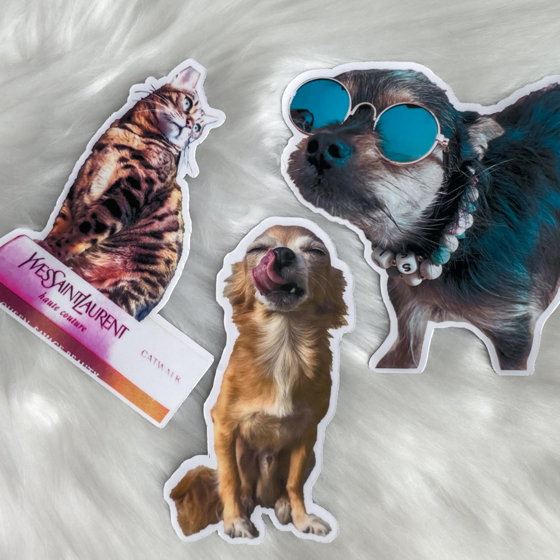 custom waterproof pet sticker dog cat
