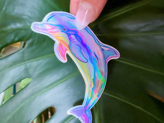 california dolphin sticker