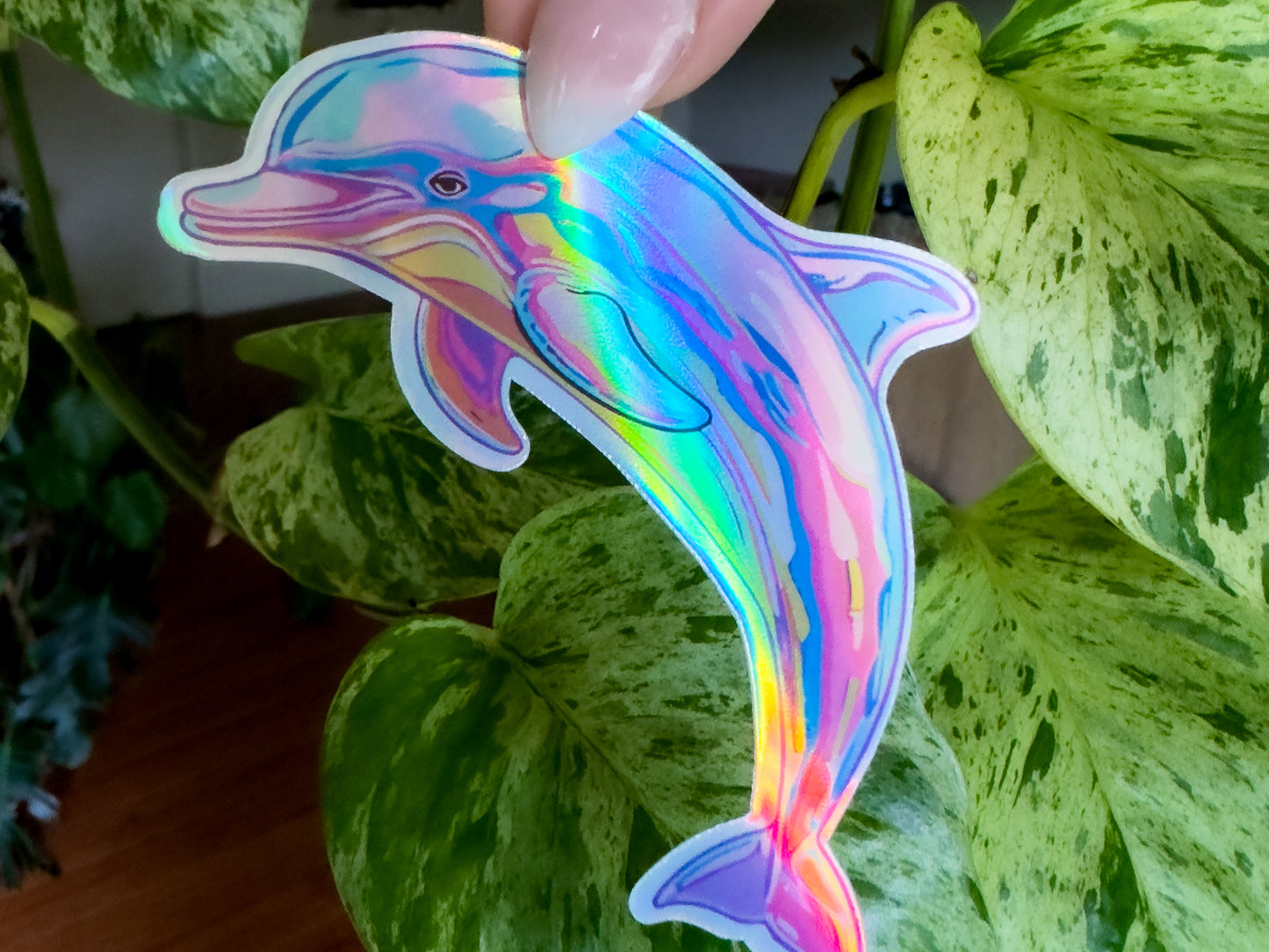 holographic dolphin sticker tropical rainbow