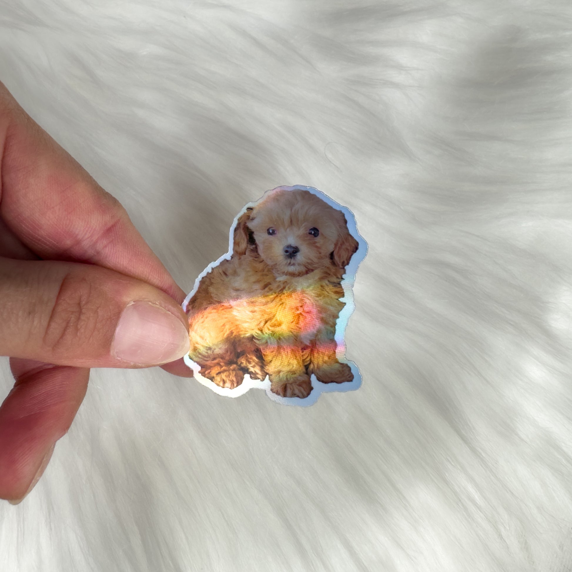 holographic puppy sticker