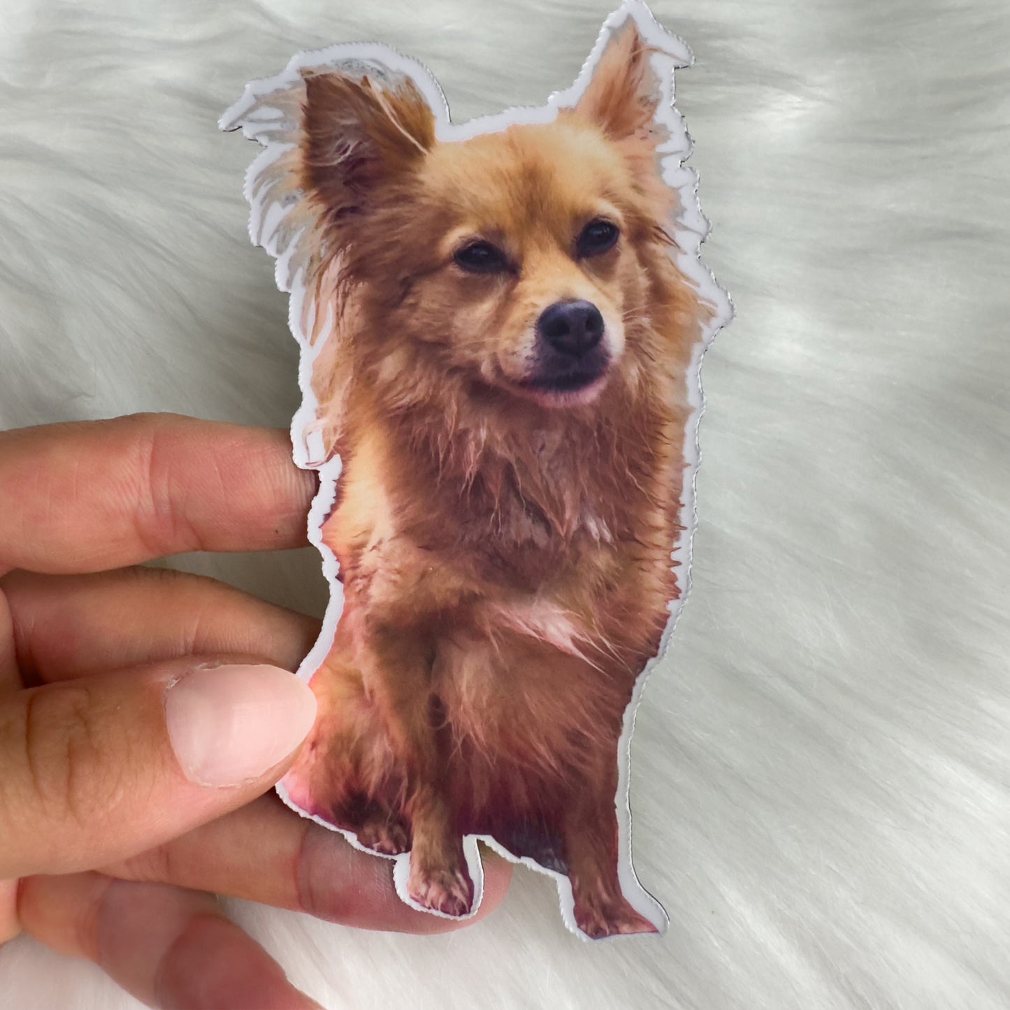 matte dog sticker