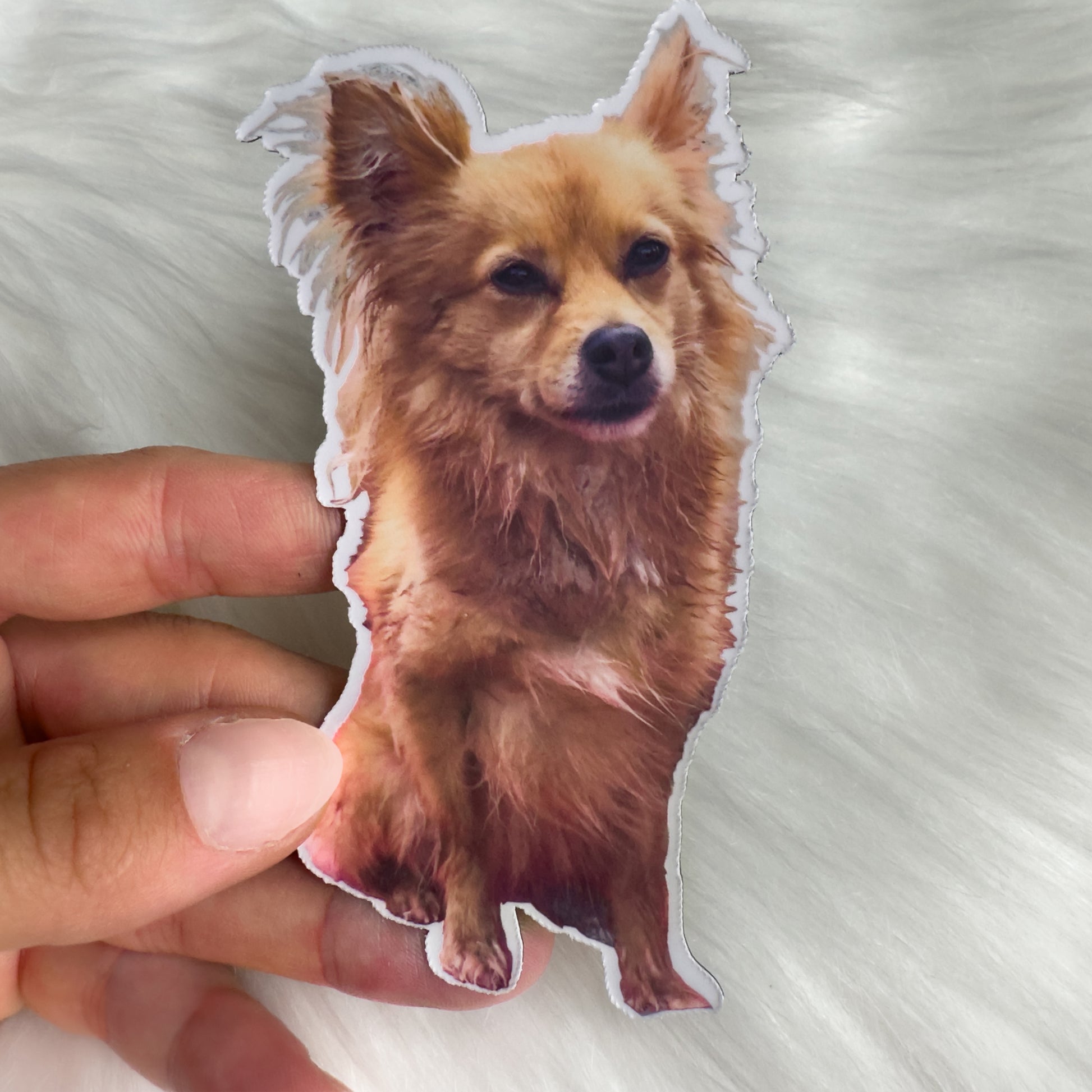 matte dog sticker