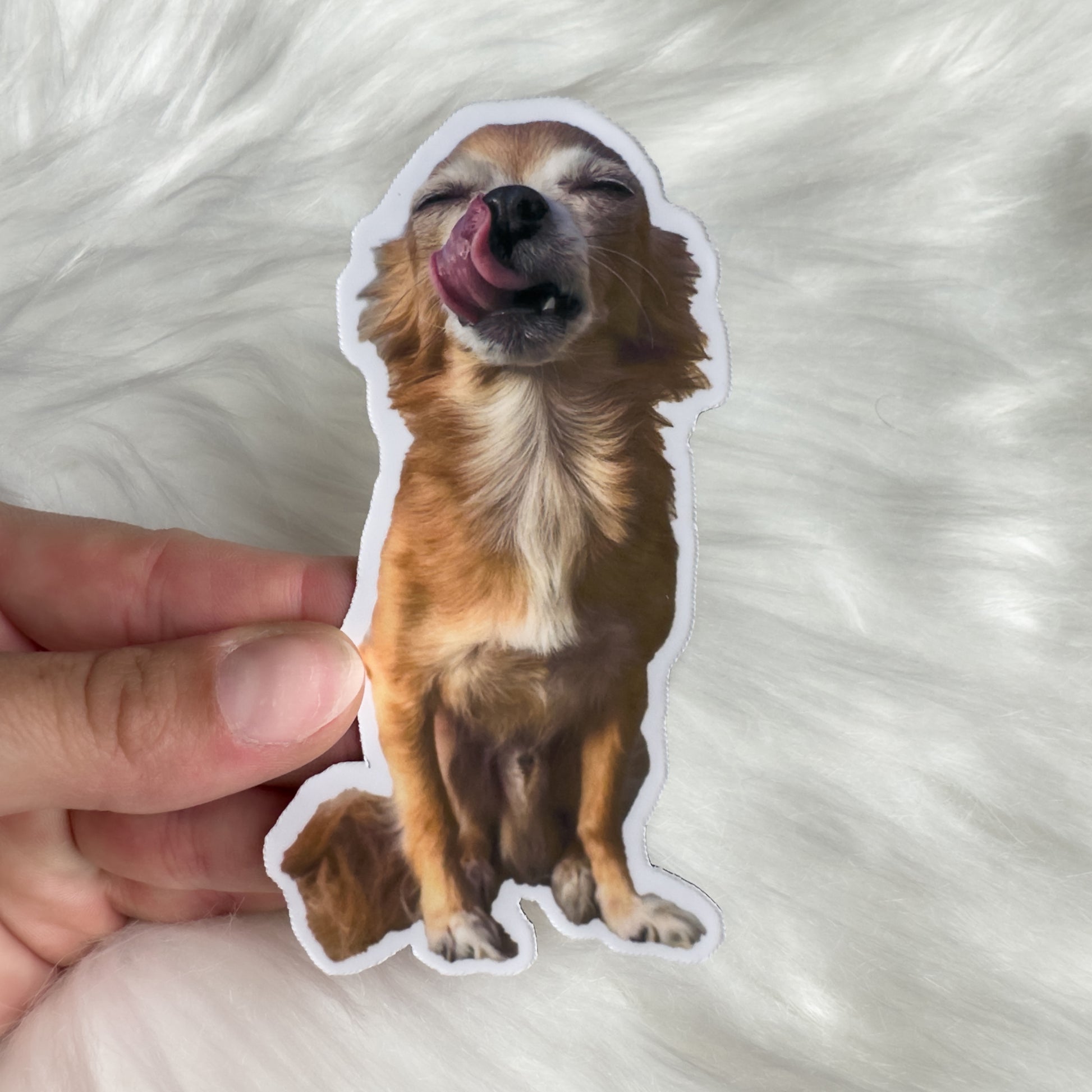 matte sticker of your dog