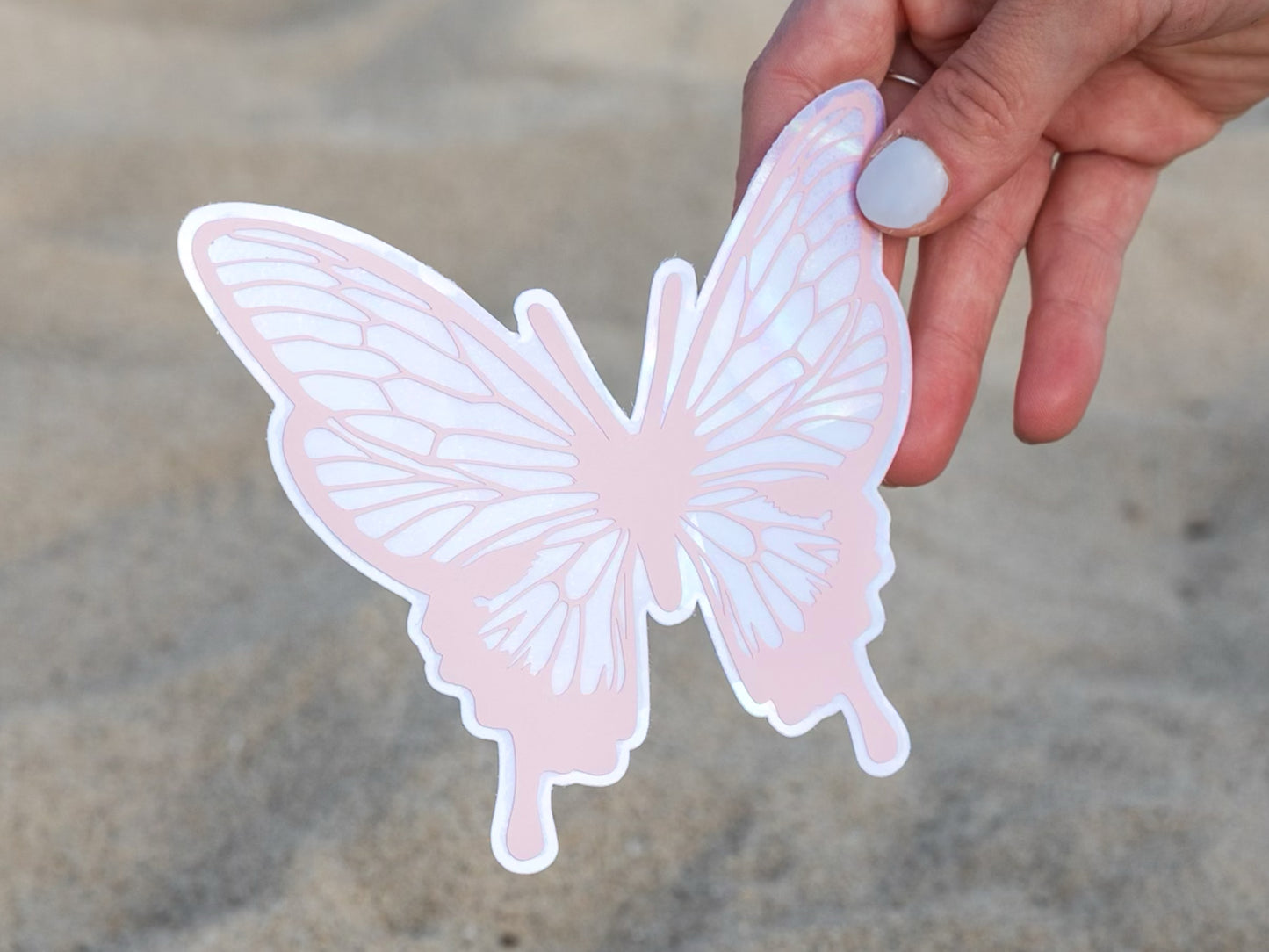 Pastel Butterfly Rainbow-Making Suncatcher Window Sticker