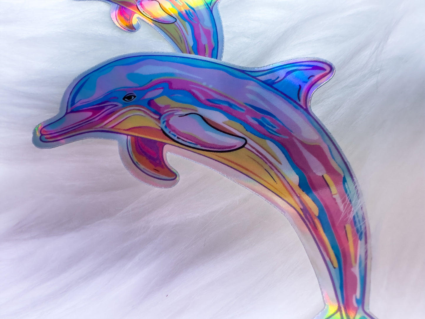 close up dolphin sticker