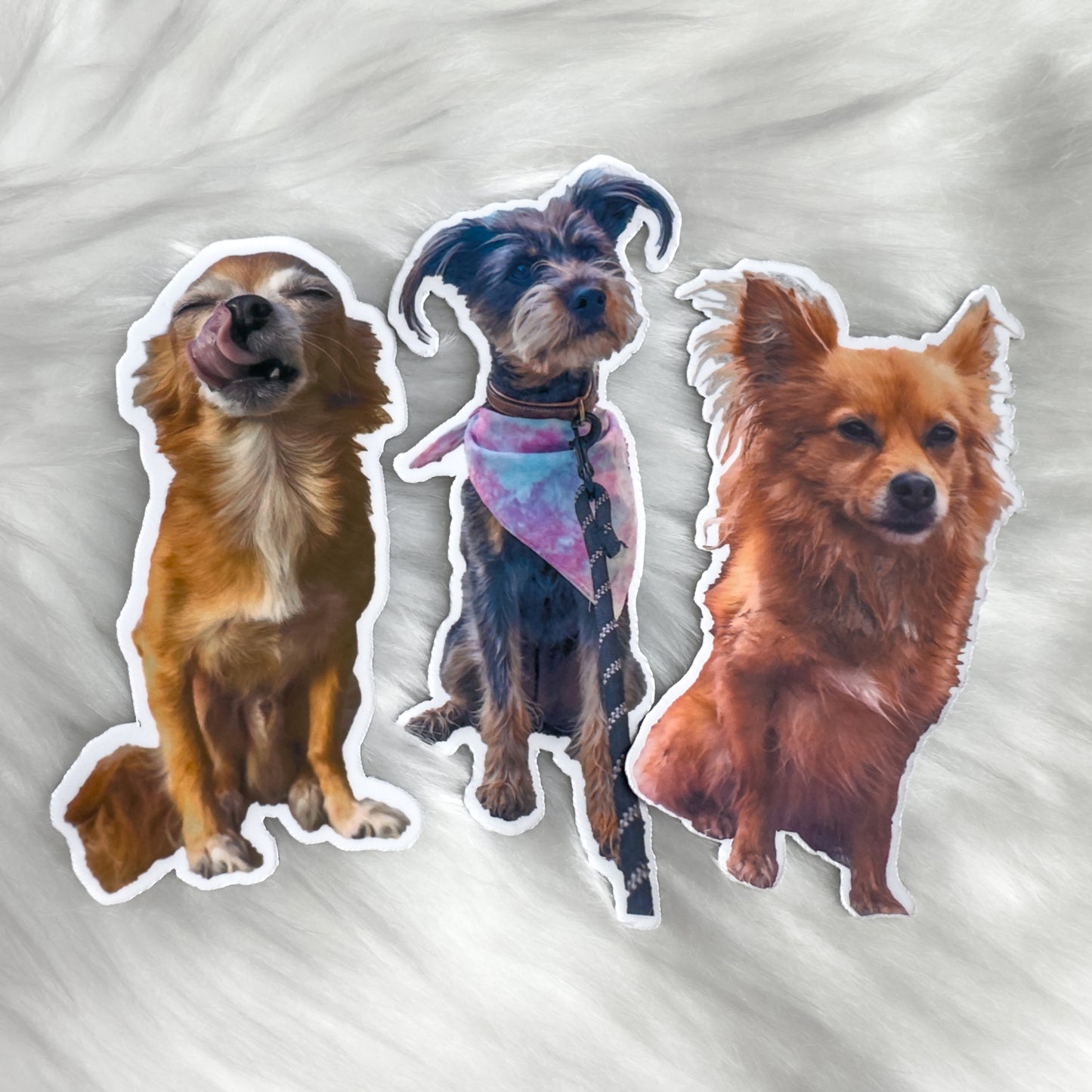 waterproof sticker of your dog
