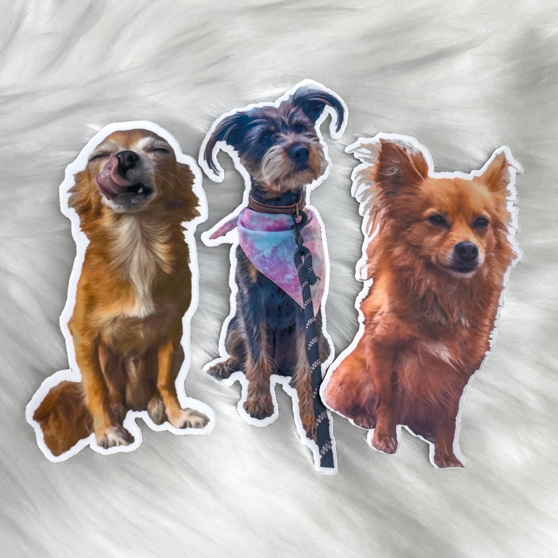 waterproof sticker of your dog